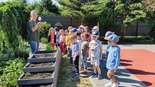 Przedszkolaki założyły ogród warzywny i czekają na efekt swojej pracy