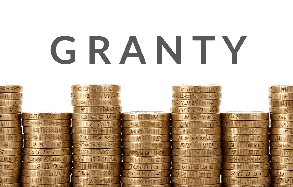 Granty 2020 | nabór ofert