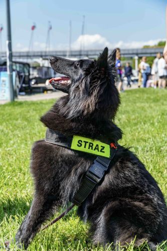 Dzień Strażaka_Festyn Strażacki_20.05.2026