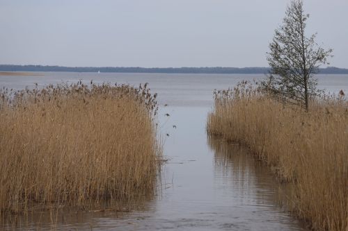 Rejs ornitologiczny z Mazurską Przyrodą