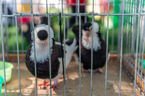 Wielkie Otwarcie Sezonu 2025_fot_M. Kluk