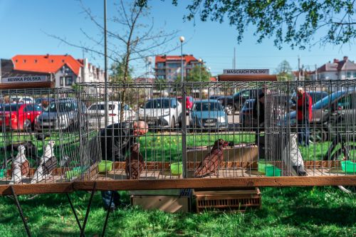 Wielkie Otwarcie Sezonu 2025_fot_M. Kluk