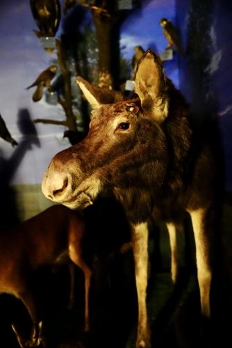 Wizyta studyjna Fort Union Osowiec 23-24.03.2026