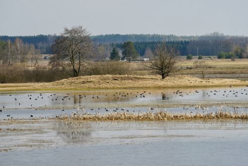 Wizyta studyjna Fort Union Osowiec 23-24.03.2026